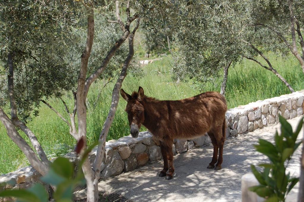 Olympos Mitos Hotel Luaran gambar