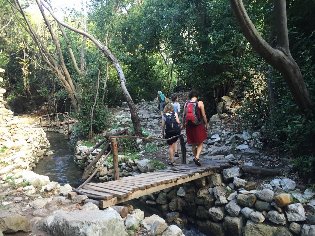 Olympos Mitos Hotel Luaran gambar