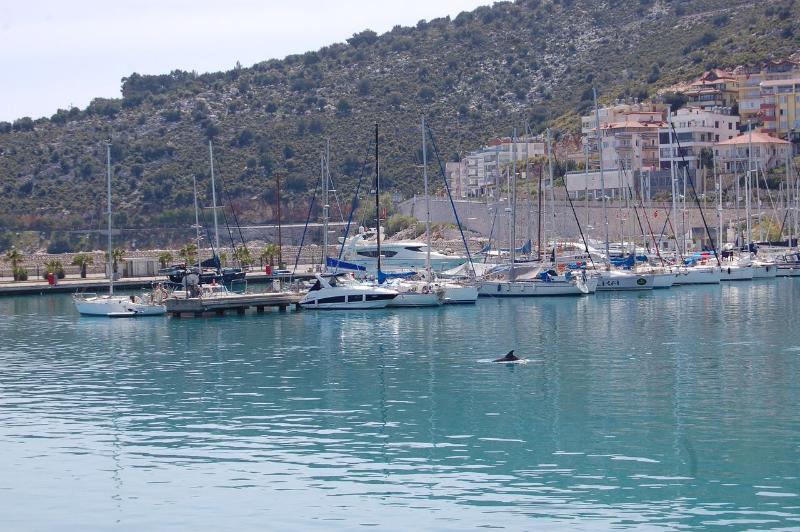 Olympos Mitos Hotel Luaran gambar