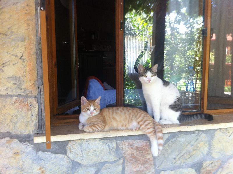 Olympos Mitos Hotel Luaran gambar